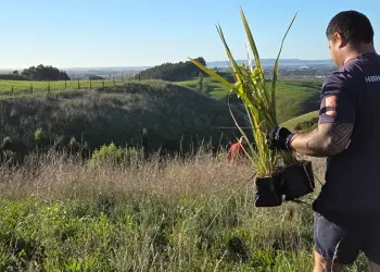 Annual Planting Day – Our Commitment to being Carbon Neutral